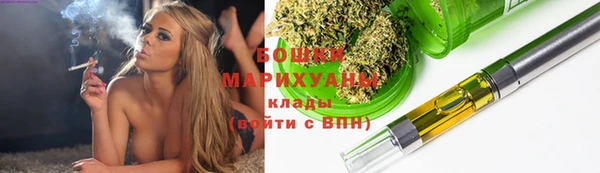 гидра Арсеньев