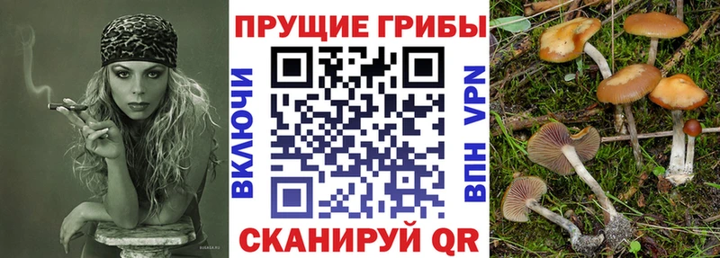 Галлюциногенные грибы Psilocybe  что такое наркотик  Байкальск 